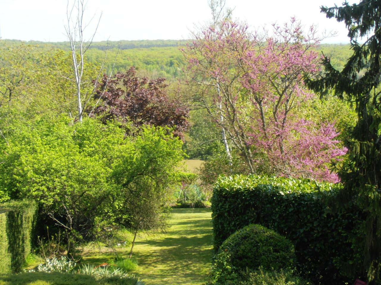 Bed and Breakfast La Fargette Saint-Fargeau-Ponthierry Exteriér fotografie